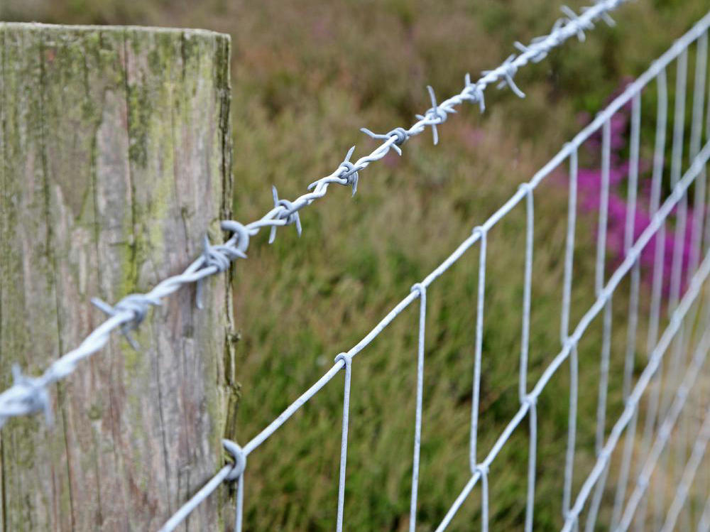 Barbed Wire